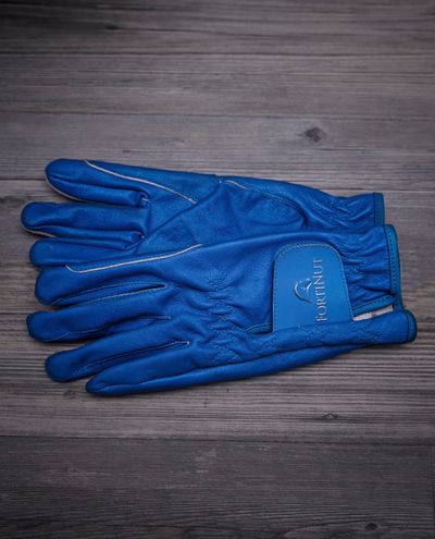 FN Leather Gloves Blue