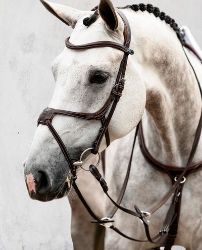 Athens, Black Bridle PS of Sweden