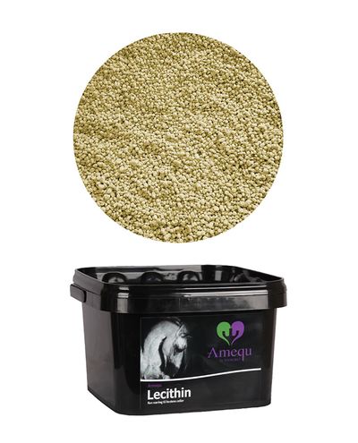 Lecithin (1.5kg)