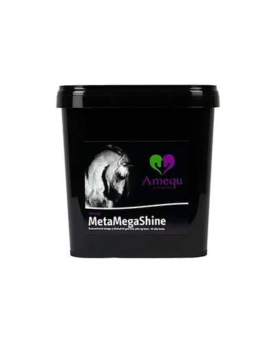 MetaOmega3 (3kg)