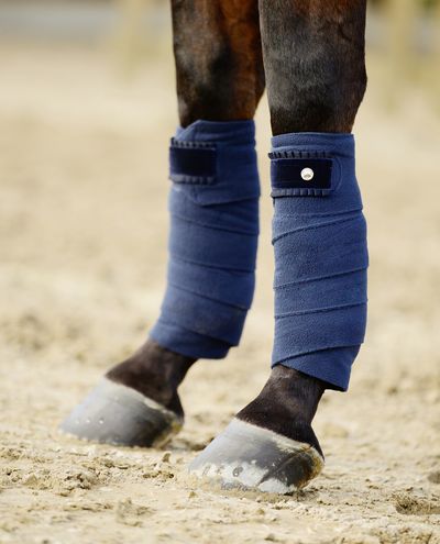 Navy Polos Ruffle PS of Sweden