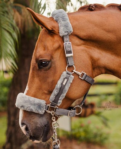 Silver Cloud Fur Halter & Lead rope (Pony) Equestrian Stockholm