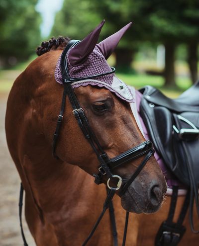 ES Orchid Bloom Ear Net Pony