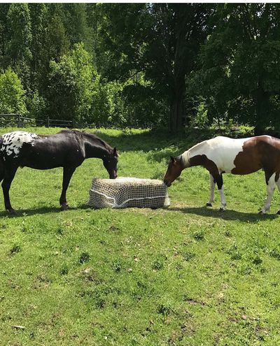 Slow Bale Buddy (Mini)