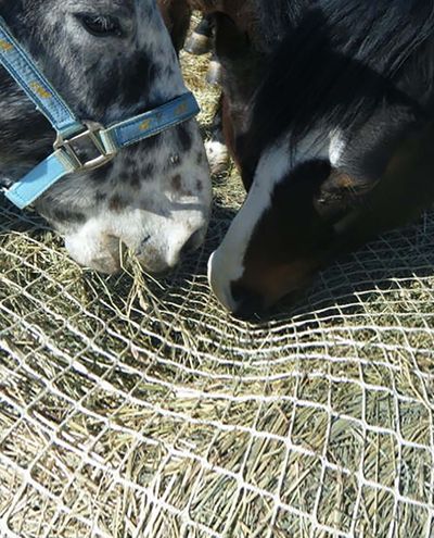 Slow Bale Buddy (Small big bale)