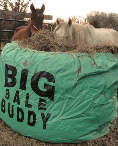 Big Bale Buddy (Large)