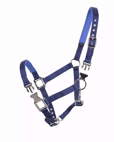 Smart Halter Nylon Blue Fager