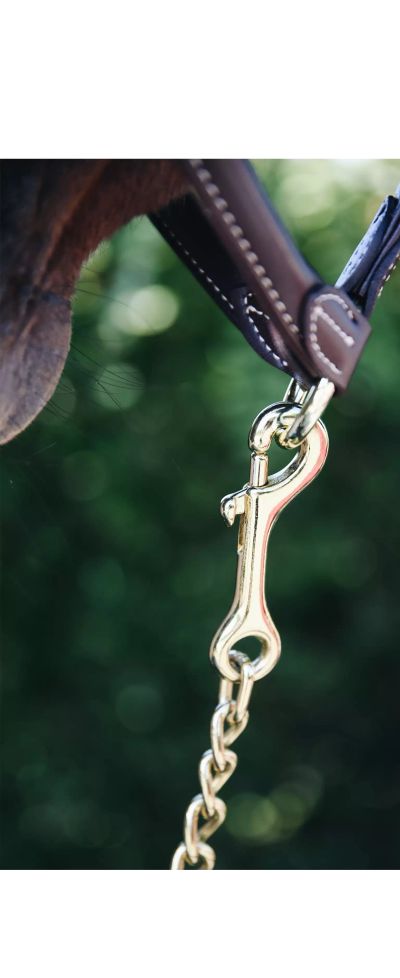 Stallion Chain (60cm)