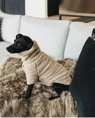 Teddy Fleece Dog Sweater (XXL)