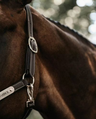 Leather Halter Flexible Brown (Full)