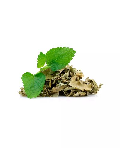 Lemon Balm (50g sample)