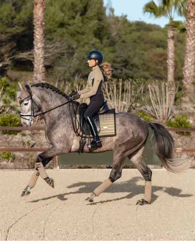 Sportive Chantelle Pintelit Equestrian Stockholm
