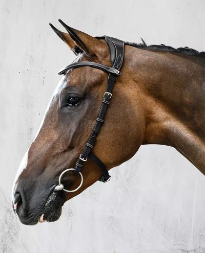 Helsinki Black Bridle PS of Sweden