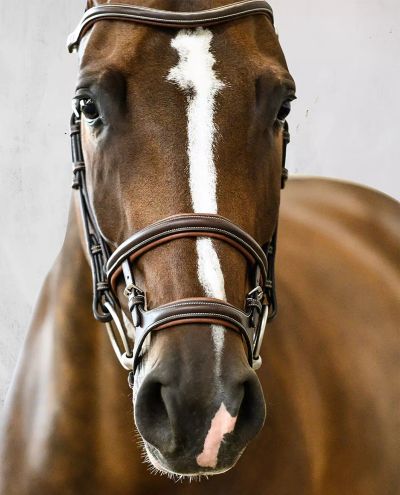 Paris Brown Bridle Full PS of Sweden