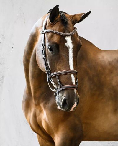 Paris Brown Bridle Full PS of Sweden