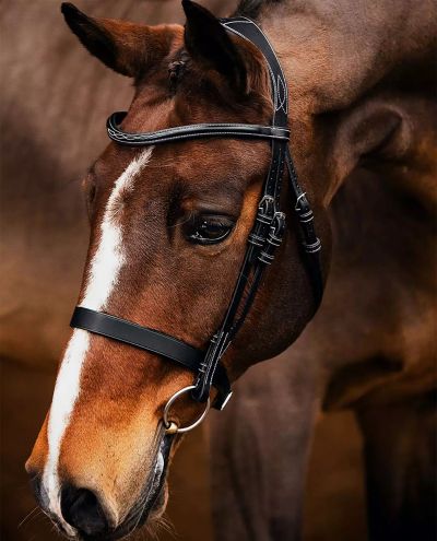 Wellington Black Bridle PS of Sweden