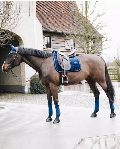 Basic Velvet Navy Dressage (Full)