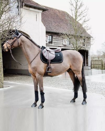 Basic Velvet Black Jump Saddle Pad (Full)