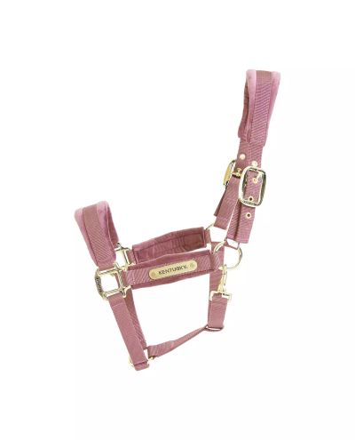 Velvet Halter Old Rose