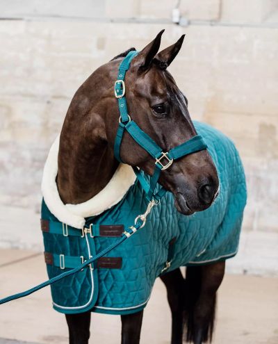 Velvet Halter Emerald