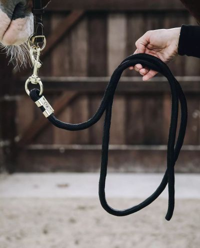 Lead Rope Basic (Black) 2m