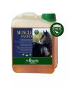 Muscle Energy Boost (2.5l best before)