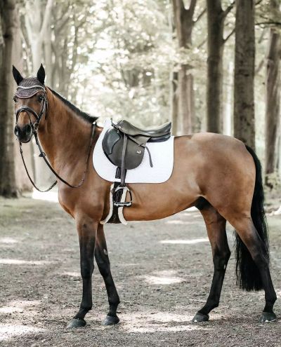 Fishbone Show Dressage White (Full)