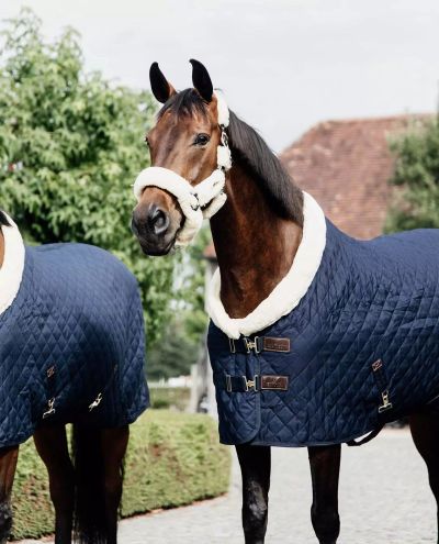 Show Rug Navy 160g