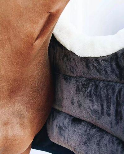 Horse BIB Winter Navy (Full)
