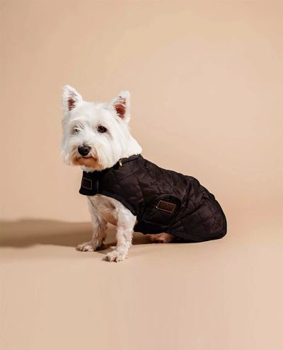Dog Coat original Brown