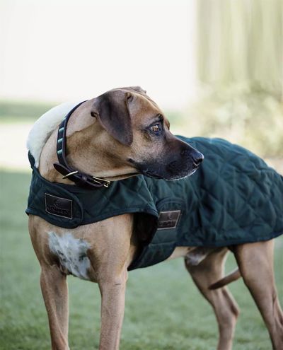Dog Coat original Dark Green