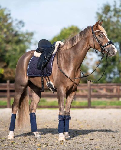 Navy Dressage Pad Cotton Signature (Full)