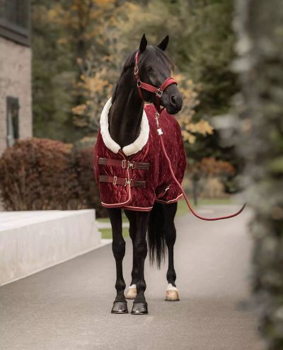 Show Rug Velvet (Bordeaux) 160g