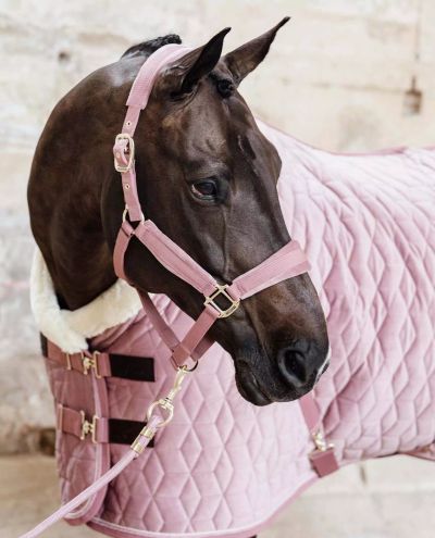 Show Rug Velvet (Old Rose) 160g