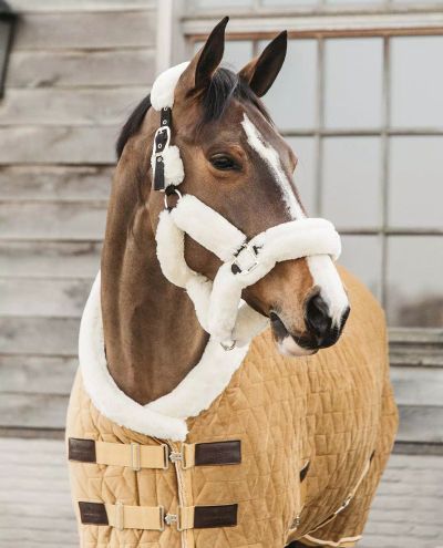 Show Rug Velvet (Mustard) 160g