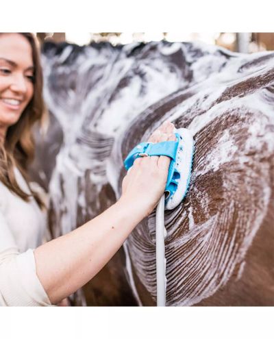 Aquapaw Equine Grooming Tool -Horse shower