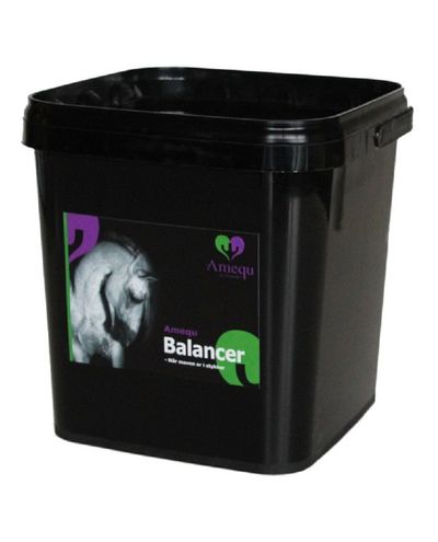 Balancer (1.5kg)