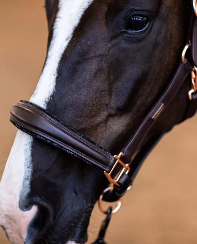 Moonless Night halter (Cob)
