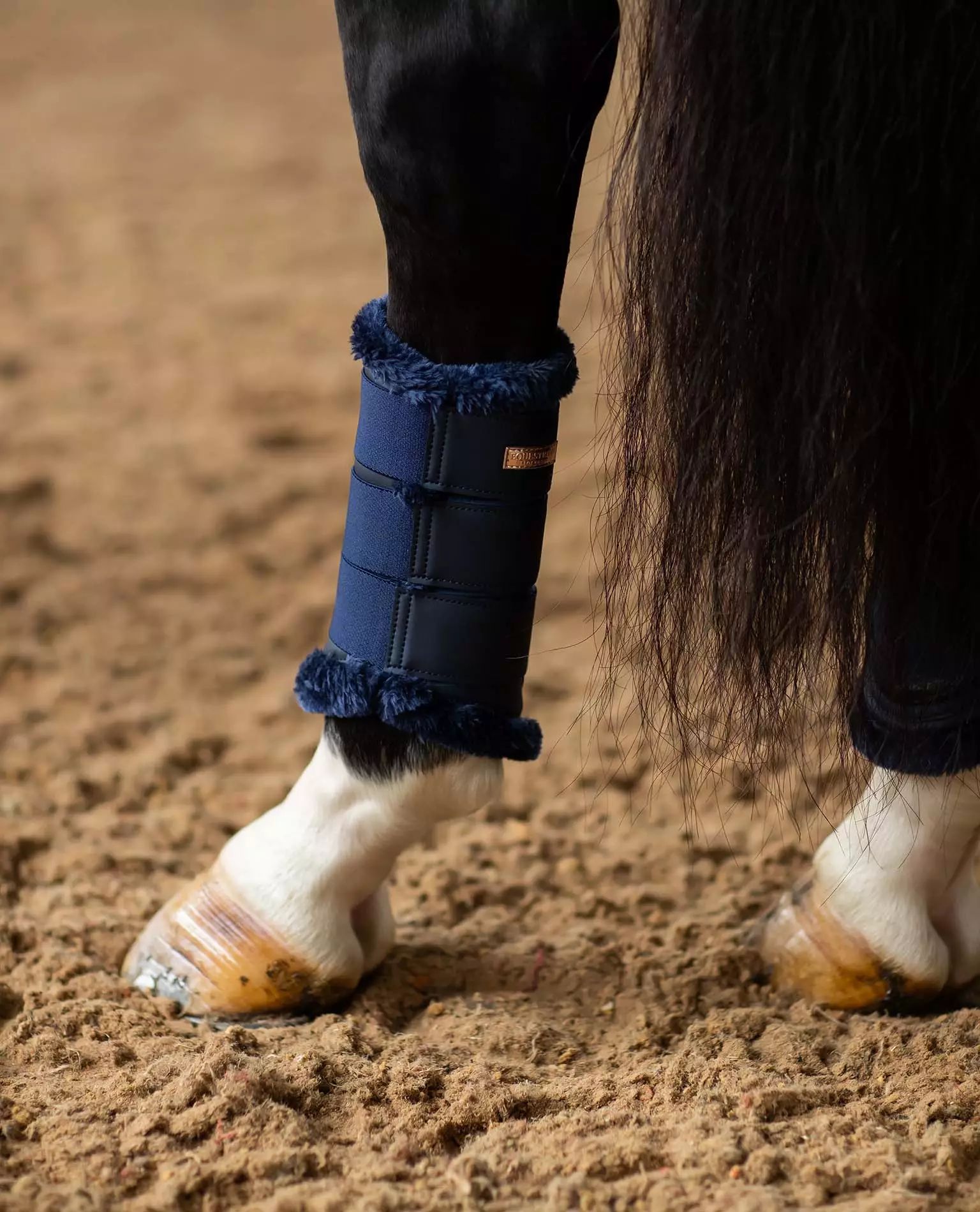 brushing boots for back legs