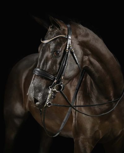 Deluxe Double Bridle Knight Power Black (Full) Deluxe Double Bridle Knight Power Black (Full)