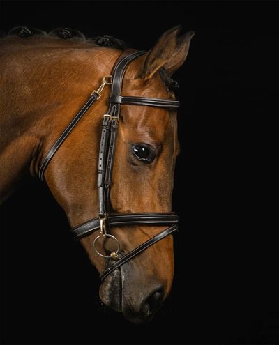 Ortega Bridle Dark Brown (Full)