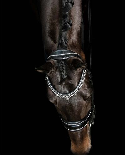 Johnny Double Silver Bridle (Full)