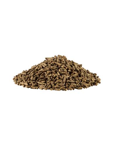 Favorit Plus Pellets (2kg sample)