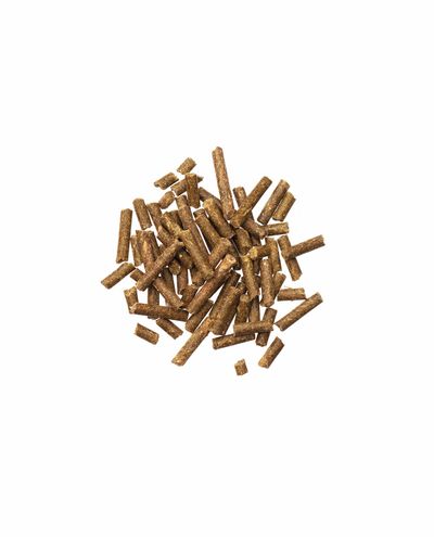 Bierhefe Pur (3kg) Agrobs