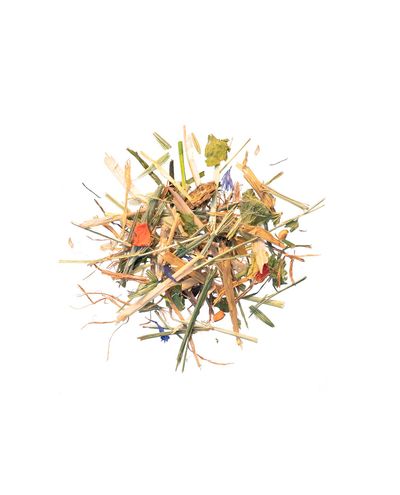 PA LeichtGenuss (sample) Agrobs