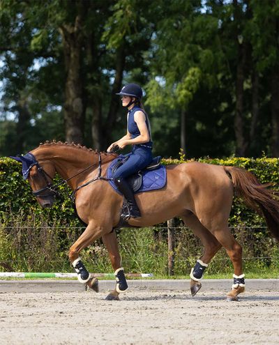 Iconic Close Contact Jump Saddle Pad (Ultimate Navy) Mrs. Ros