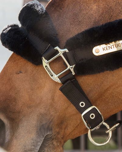 Nylon Sheepskin Halter Soft Black (Full) 