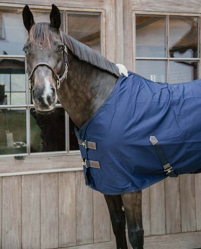 Cotton Sheet Navy Kentucky