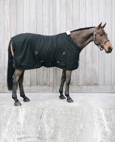 Cotton Sheet Black Kentucky