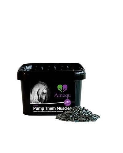 Spirulina Pellets (1kg)